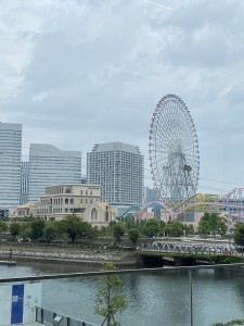 IMG_3479