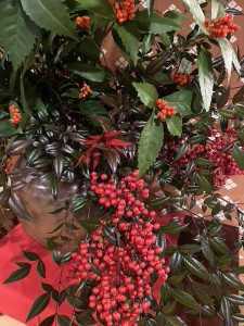 1630520F-AD6D-4635-924E-56ED4E7F98D9_1_105_c